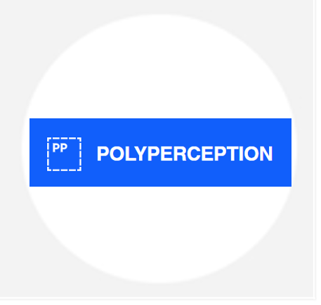 PolyPerception
